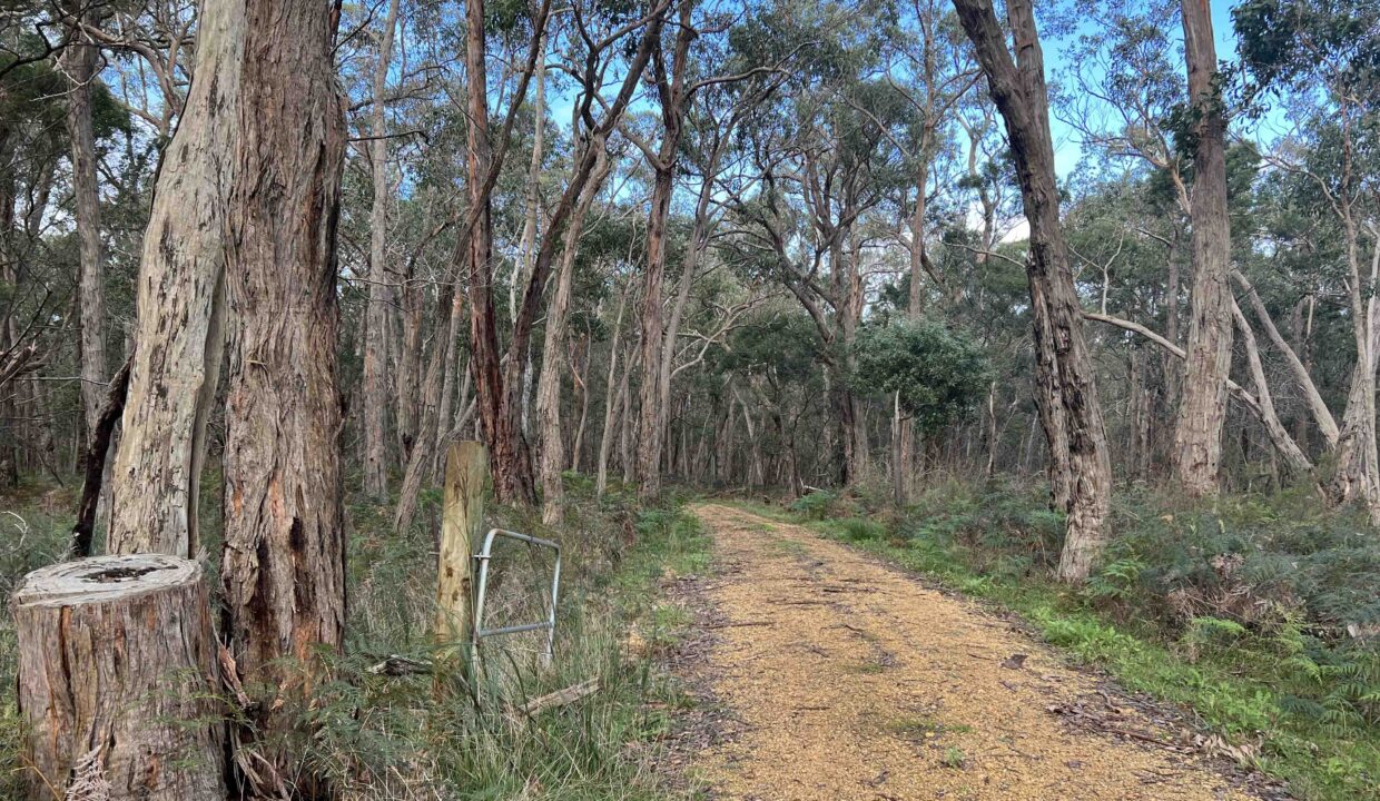 Condah estate 1 +