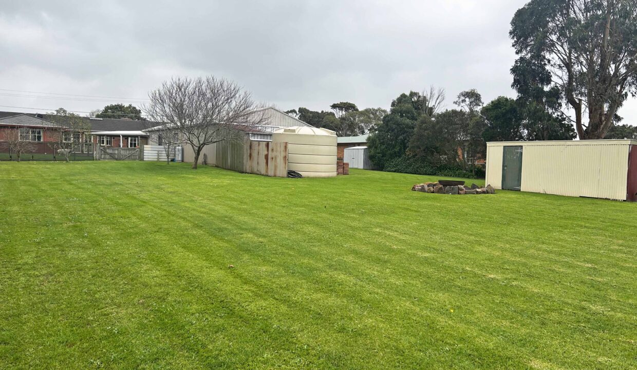 16 Parkers backyard 1
