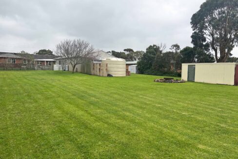 16 Parkers backyard 1