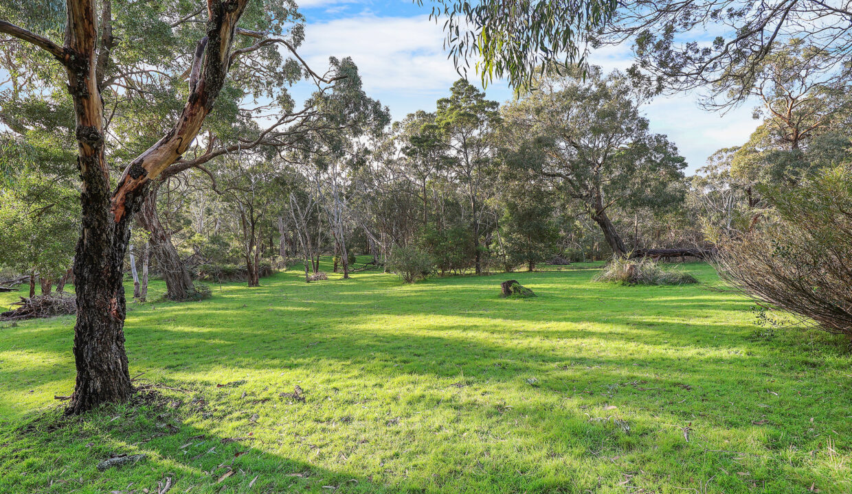 024_Open2view_ID1028298-207_Blackers_Road